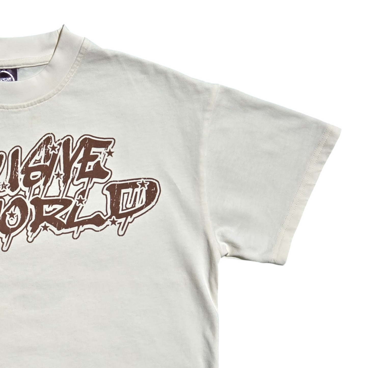 CLASSIC LOGO T-SHIRT (BROWN)